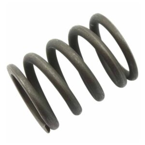 Valve spring outside Moto Guzzi