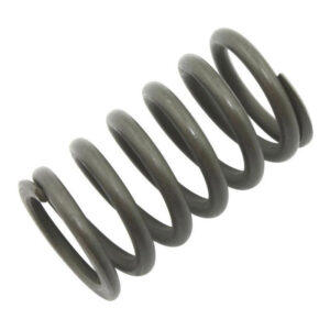 Valve spring inside Moto Guzzi