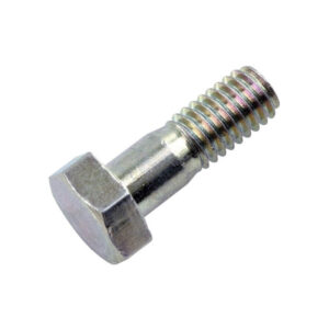 Carburetor fuel banjo screw Dell'Orto